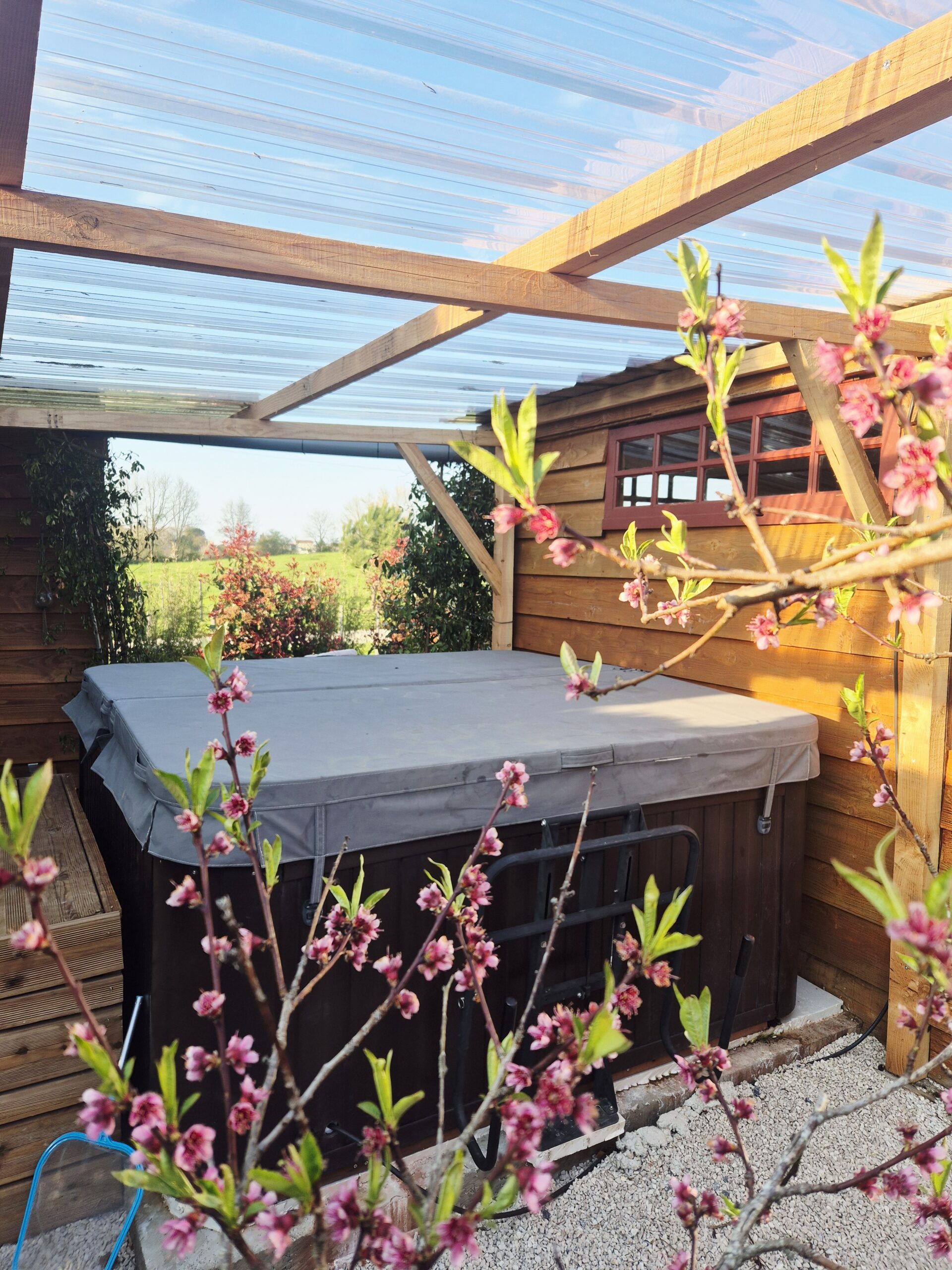 Jacuzzi au milieu de la végétation